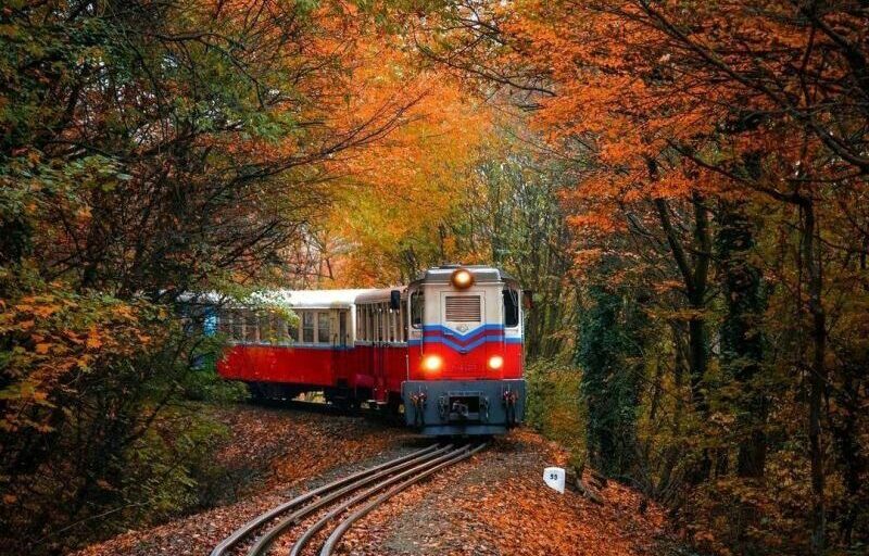 cheapest shipping china to zimbabwe