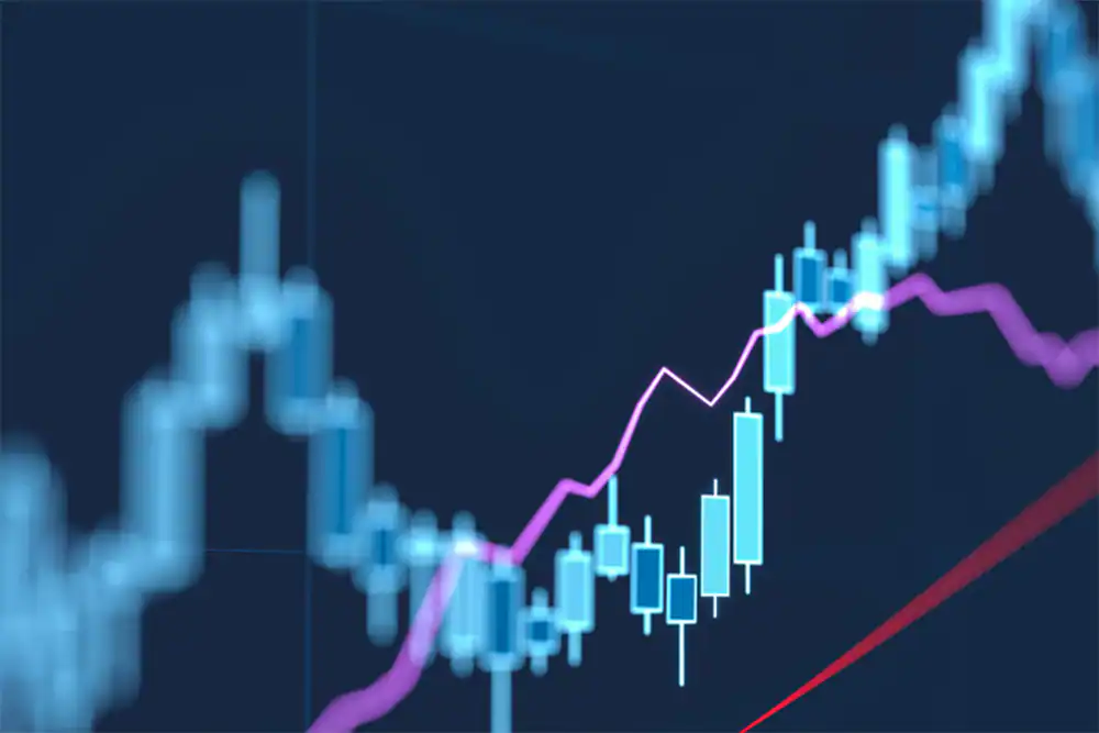 import tax vs tariff