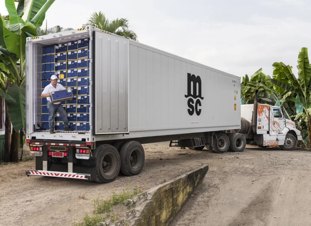 machinery sea freight china to usa