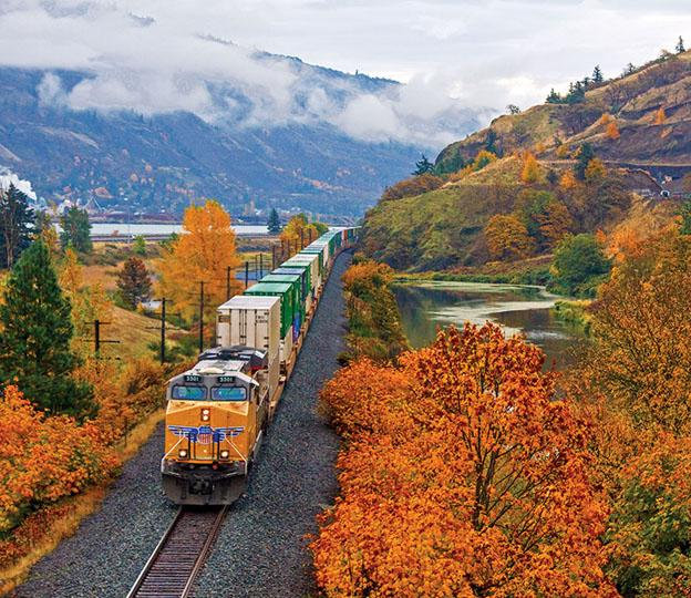 reliable FCL shipping from China to Netherlands