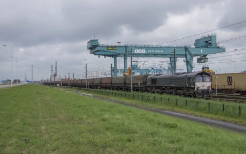 professional FCL shipping from China to Netherlands