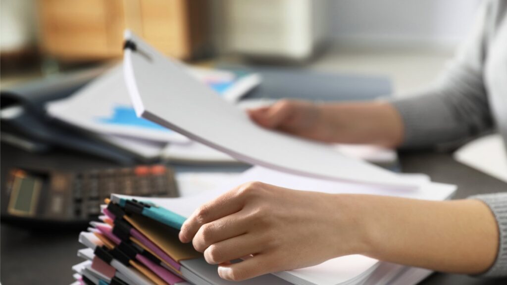 reliable FCL shipping from Shenzhen to Belgium