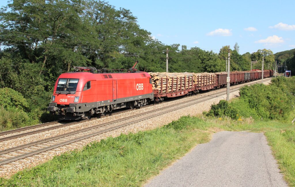 fast sea freight from Shenzhen to Netherlands