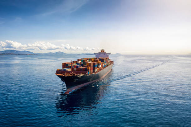 professional sea freight from Shenzhen to Belgium