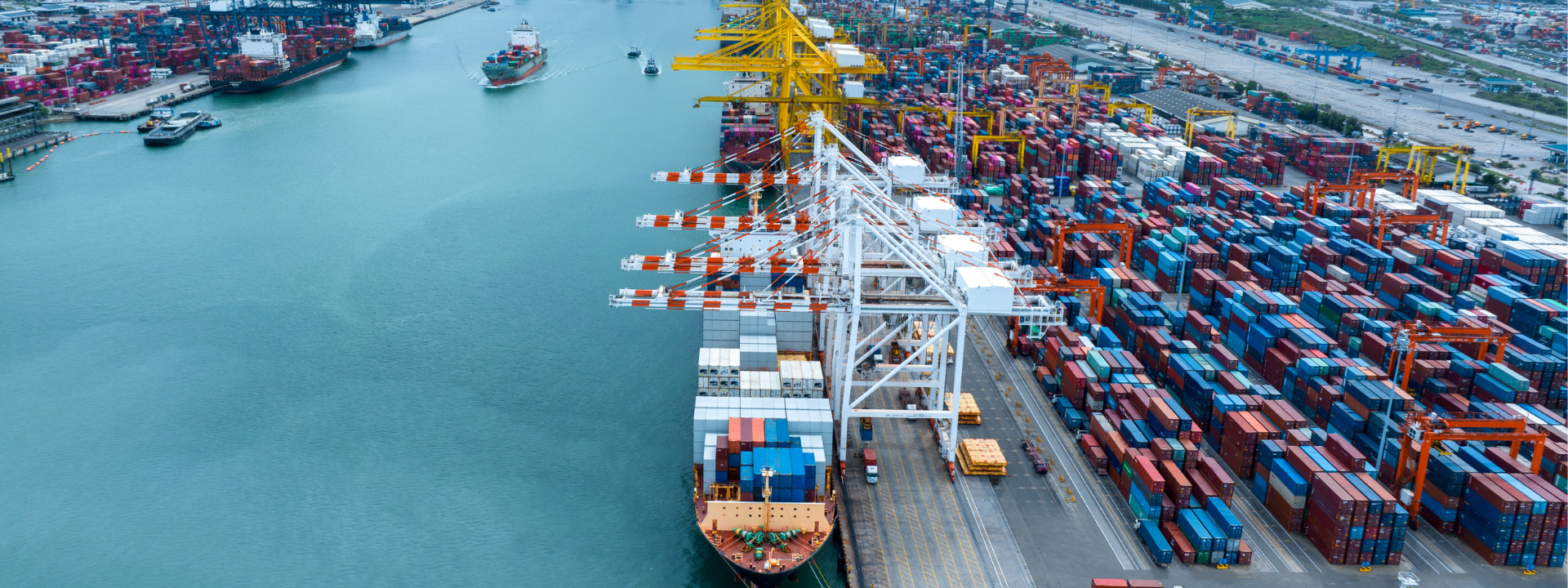 professional sea freight from Shenzhen to Spain