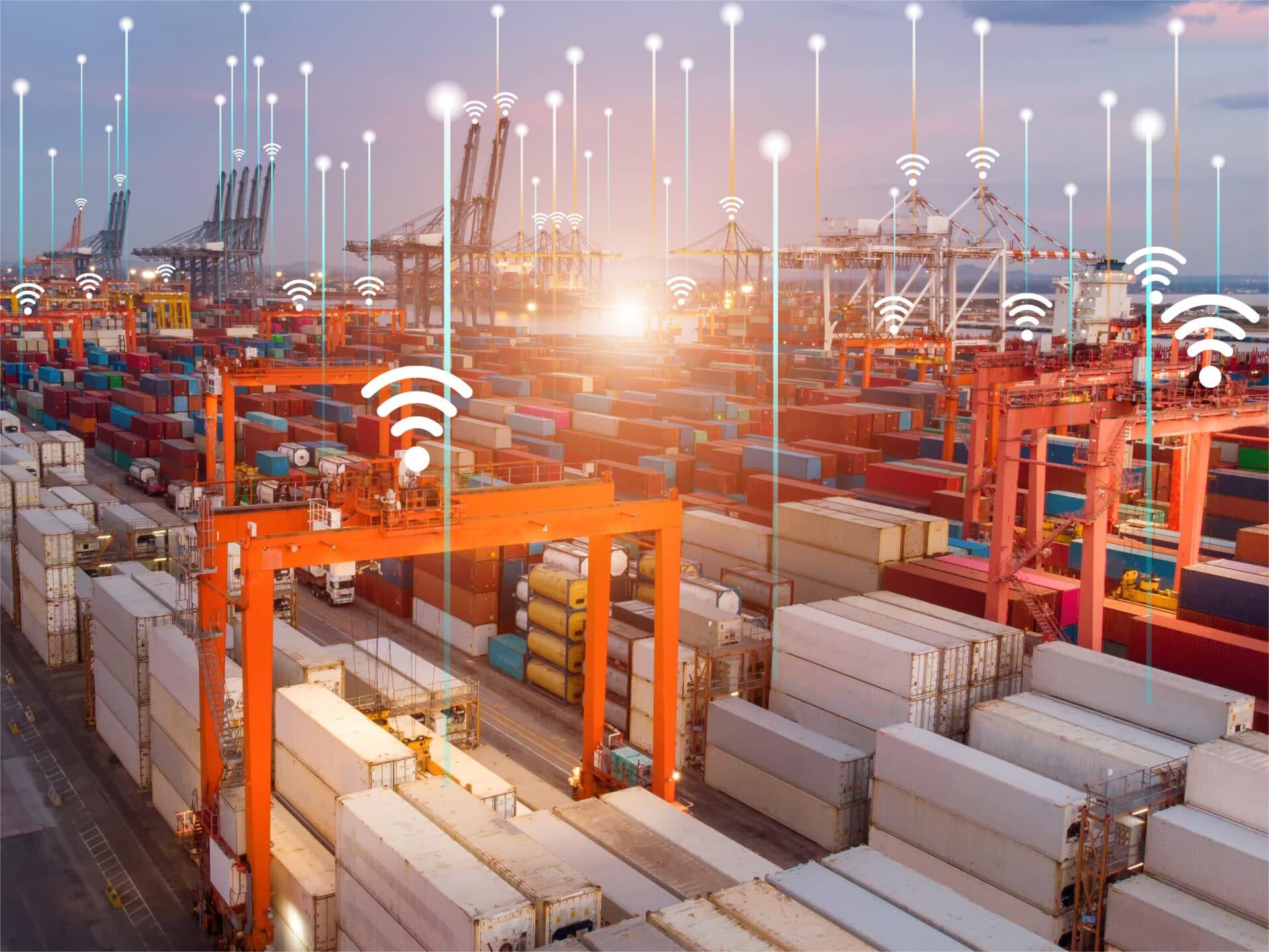 Logistics expert discussing shipping solutions with a client