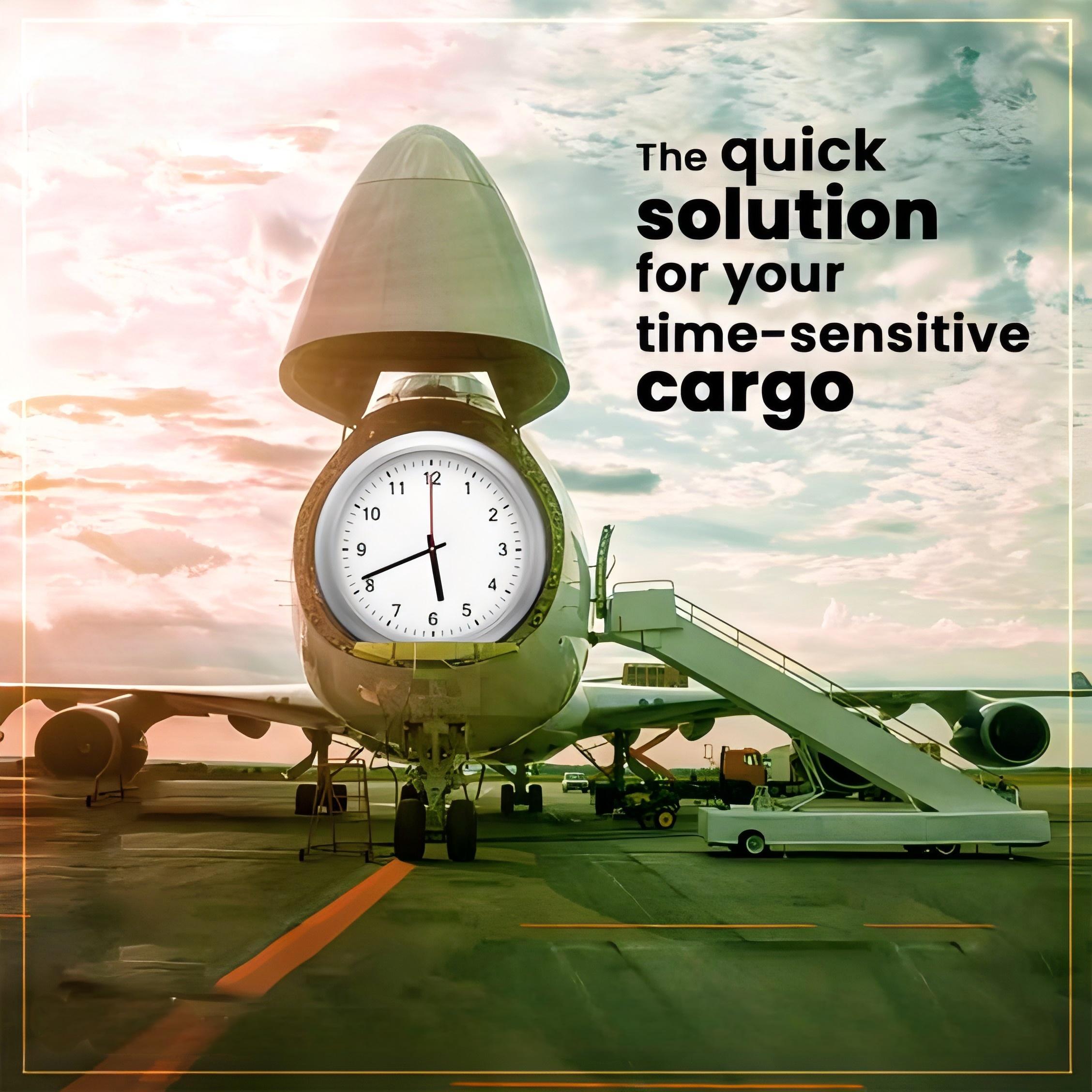 Infographic comparing different shipping methods