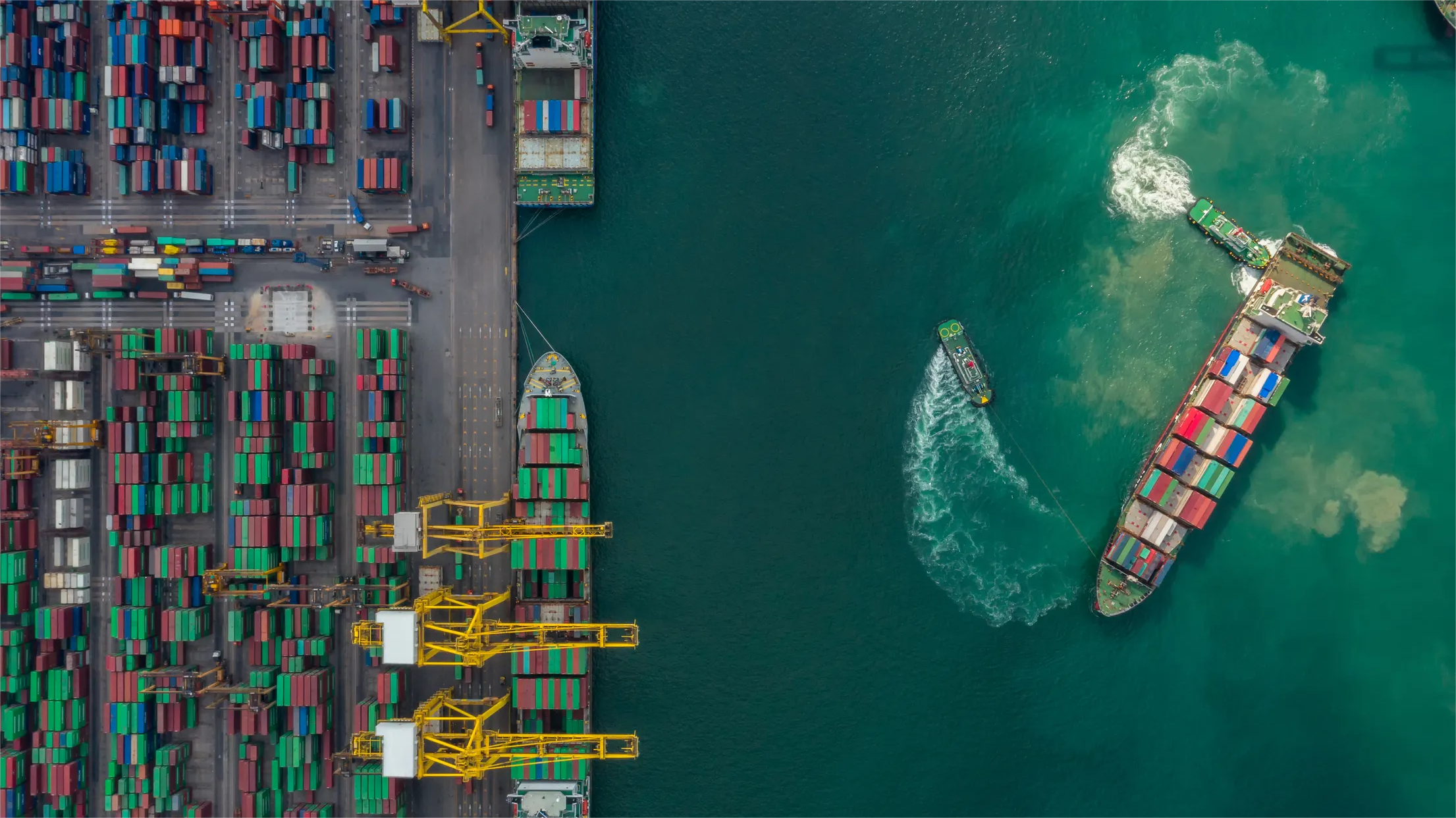 Warehouse workers consolidating less than container load freight