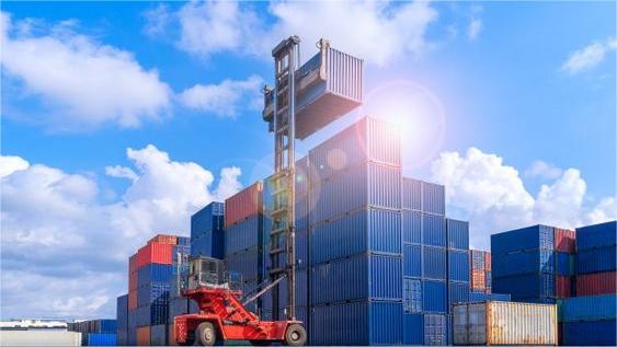 Logistics professional checking customs documentation for car parts