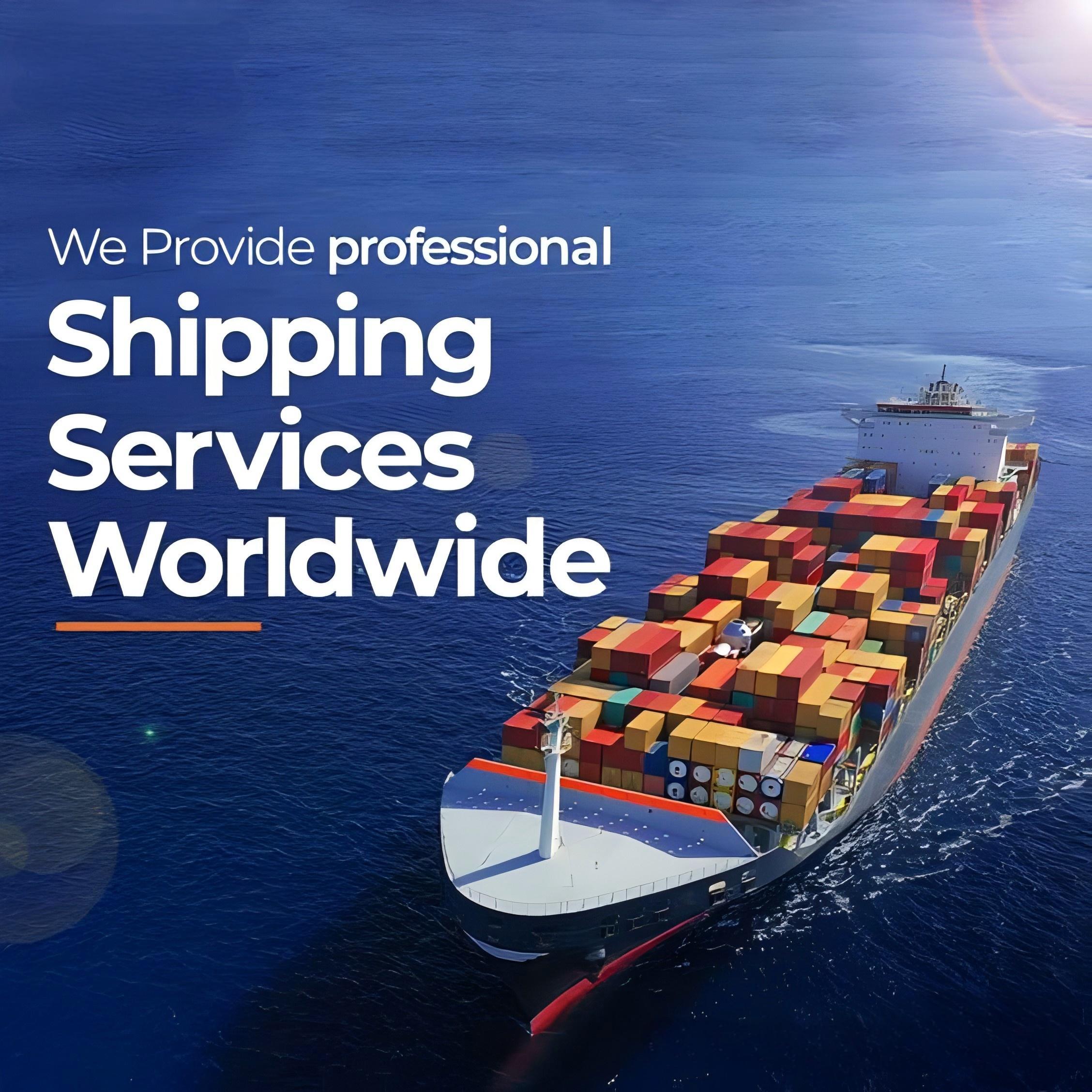 Logistics professional reviewing customs documentation for Dutch import clearance