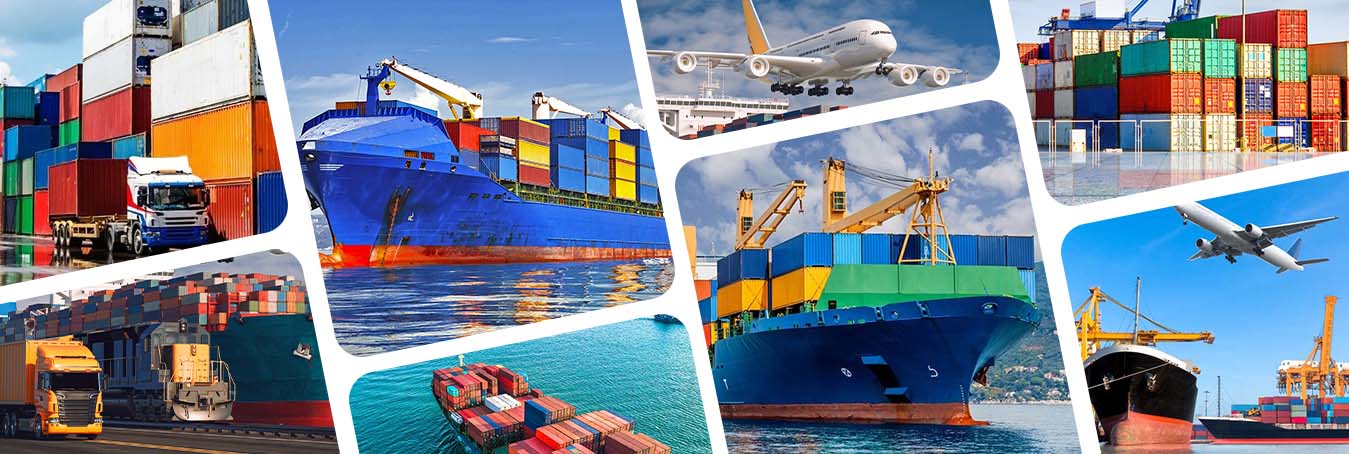 Logistics team managing a shipment from China to Ireland